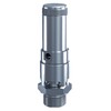 Spring loaded safety valve series 410sGK stainless steel/FPM atmospheric discharge adjustment range 0,2 - 25,0 barg 1" BSPP